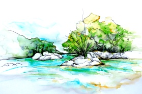 Surrounding habitat.